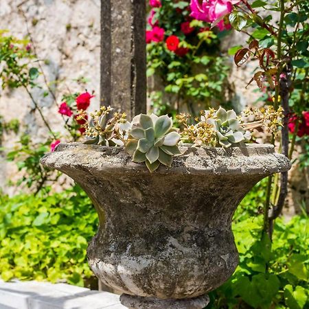 Apartment Marija Close To Old Town Dubrovnik Dış mekan fotoğraf
