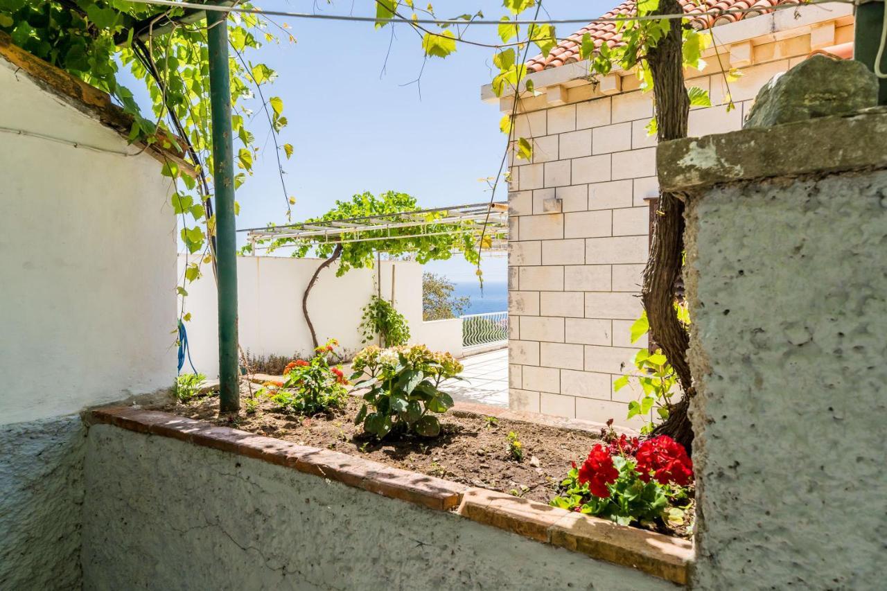 Apartment Marija Close To Old Town Dubrovnik Dış mekan fotoğraf